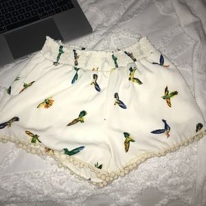Shorts with Hummingbirds